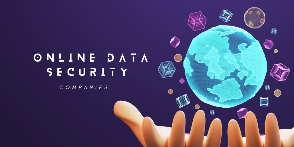Online Data Security Companies
